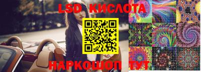 прущие грибы Новодвинск