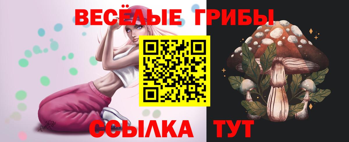 Псилоцибиновые грибы GOLDEN TEACHER Энгельс